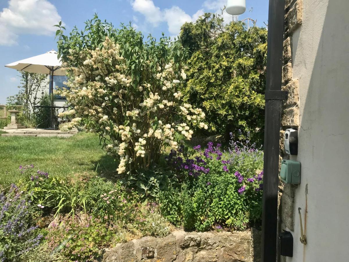 Charming Modernized Country Cottage Near Mere, Wiltshire Mere  エクステリア 写真